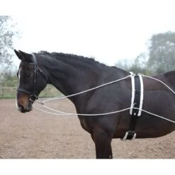 Shires Lunging Aid - Black -Saddle Shop 553777 800 800