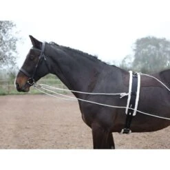 Shires Lunging Aid - Black -Saddle Shop 553778 800 800