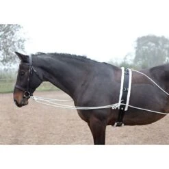 Shires Lunging Aid - Black -Saddle Shop 553779 800 800