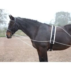 Shires Lunging Aid - Black -Saddle Shop 553780 800 800