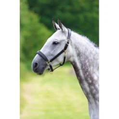 Blenheim Leather Travel Headcollar - Black