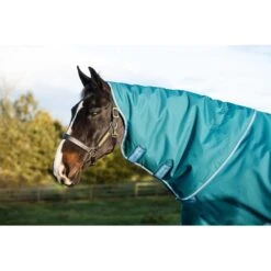 Amigo Bravo 12 Plus Turnout 400g - Storm Green/Turquoise/Aqua -Saddle Shop 555955 800 800
