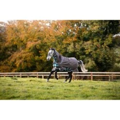 Amigo Bravo 12 Plus Disc Closure Turnout 250g- Excalibur/Blue/Black - Excalibur/Aqua/Turquoise