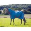 Shires Tempest Original Lite Combo - Teal -Saddle Shop 580137 800 800