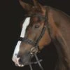 Collegiate Mono Crown Padded Raised Cavesson Bridle - Black -Saddle Shop 580579 800 800