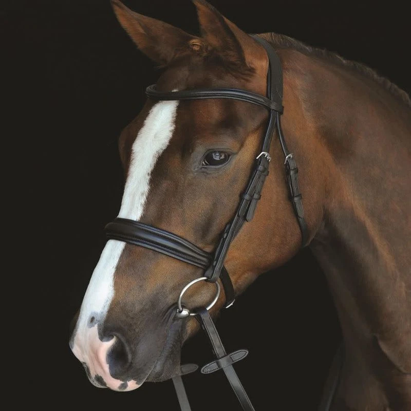 Collegiate Mono Crown Padded Raised Cavesson Bridle - Black 3 Collegiate Mono Crown Padded Raised Cavesson Bridle - Black