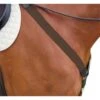 Kincade Elastic Y Fit Breastplate - Brown -Saddle Shop 581612 800 800