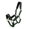 Back On Track Werano Halter - Green -Saddle Shop 588765 800 800