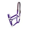 Perri's Ribbon Safety Halter - Purple Arrows -Saddle Shop 591572 800 800