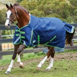 Weatherbeeta Comfitec Plus Dynamic Standard Neck Medium Blanket - Navy/Lime