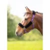 Shires Fleece Lined Headcollar W/Breakaway - Purple -Saddle Shop 597468 800 800
