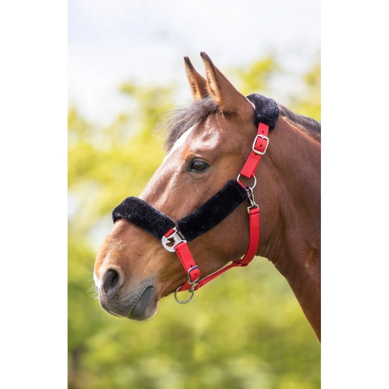 Shires Fleece Lined Headcollar W/Breakaway - Burgundy 3 Shires Fleece Lined Headcollar W/Breakaway - Burgundy