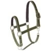 Horze Victoria Halter - Beetle Khaki Green 2 Horze Victoria Halter - Beetle Khaki Green -Saddle Shop 602658 800 800
