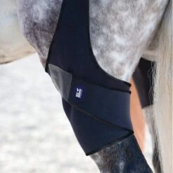 Ice Horse Stifle Wrap - Black -Saddle Shop 632118 800 800