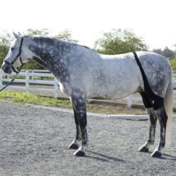 Ice Horse Stifle Wrap - Black -Saddle Shop 632119 800 800