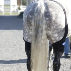 Ice Horse Stifle Wrap - Black -Saddle Shop 632120 800 800