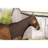 Perri's Lycra Mane Hood - Black -Saddle Shop 672511 800 800