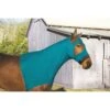 Perri's Lycra Mane Hood - Turquoise -Saddle Shop 672527 800 800
