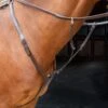 Shires Velociti Rapida Breastplate - Havana 1 Shires Velociti Rapida Breastplate - Havana -Saddle Shop 674224 800 800