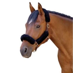 CoolBack Noseband Cover - Black -Saddle Shop 675056 800 800
