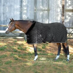 Equinavia Luksus Premium Cooler - Black