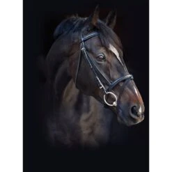 Amigo Leather Bridle - Black