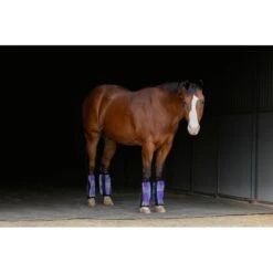 Kensington Bubble Fly Boots (Set Of 4) - Blue Ice 5 Kensington Bubble Fly Boots (Set Of 4) - Blue Ice -Saddle Shop 680912 800 800