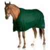 Pessoa 1200D Turnout Sheet - Hunter Green -Saddle Shop 688284 800 800