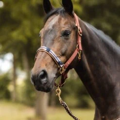 Horze Terrazzo Neoprene Lined Halter With Crystals - Smoked Paprika -Saddle Shop 695390 800 800