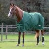 Saxon Defiant 1200D Standard Neck Medium - Hunter Green/White 1 Saxon Defiant 1200D Standard Neck Medium - Hunter Green/White -Saddle Shop 707956 800 800