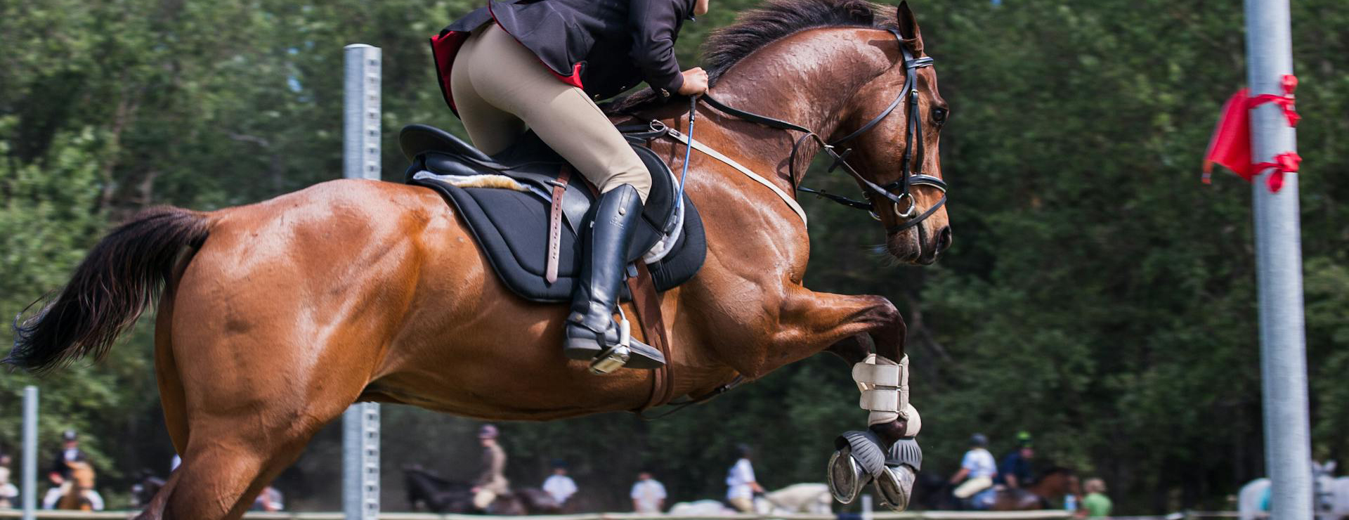 Front Page -Saddle Shop pexels jvdm 1559388